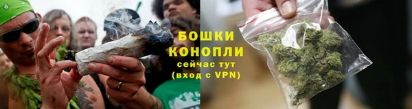 молекула духа Майский