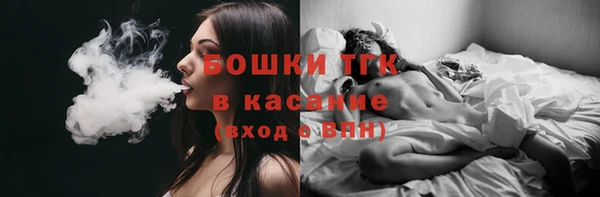 молекула духа Майский