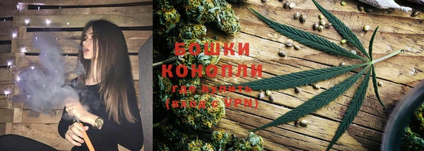 тгк Магадан