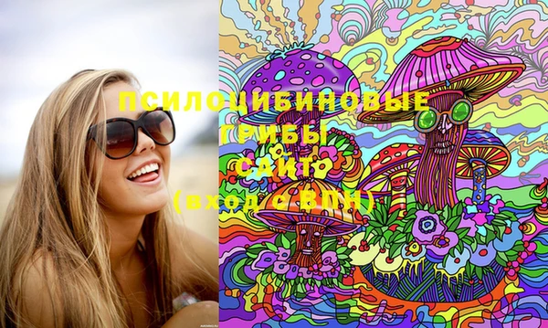 молекула духа Майский