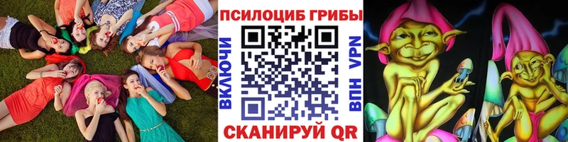 где найти   нарко площадка официальный сайт  Псилоцибиновые грибы Psilocybe  Копейск 