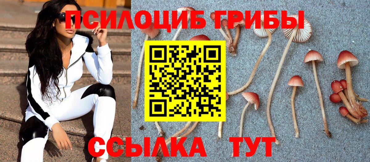 Копейск  Галлюциногенные грибы GOLDEN TEACHER  Галлюциногенные грибы Psilocybe  Вход с VPN 