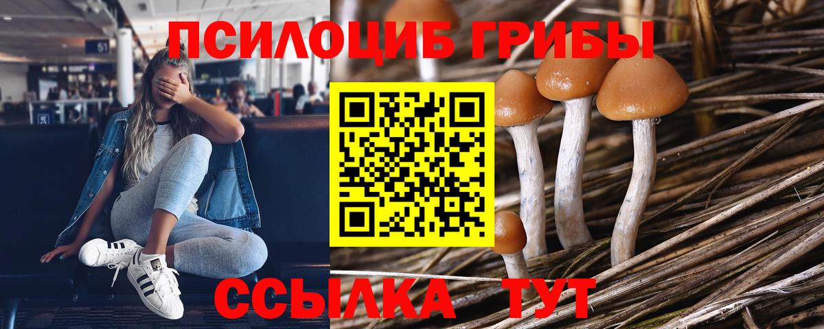 Псилоцибиновые грибы прущие грибы Копейск